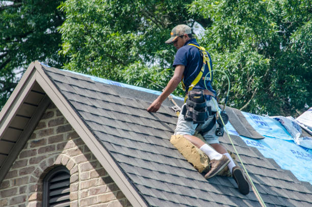 Professional Roofing Contractor in Montrose, PA